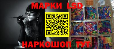 стафф Краснознаменск