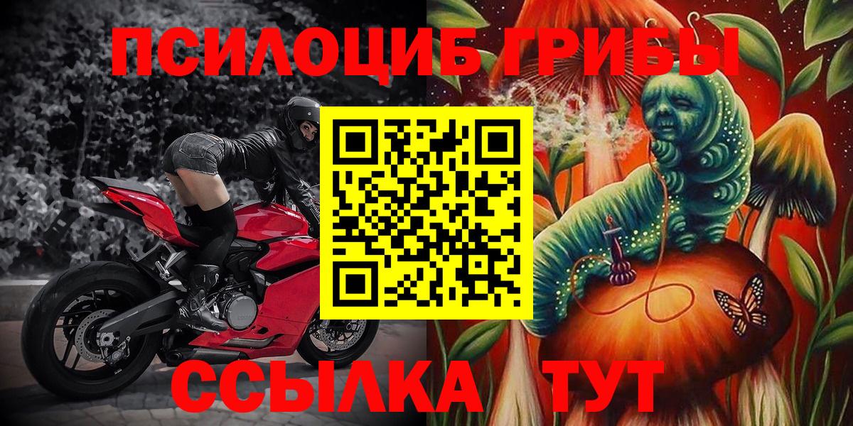 Псилоцибиновые грибы мухоморы Санкт-Петербург